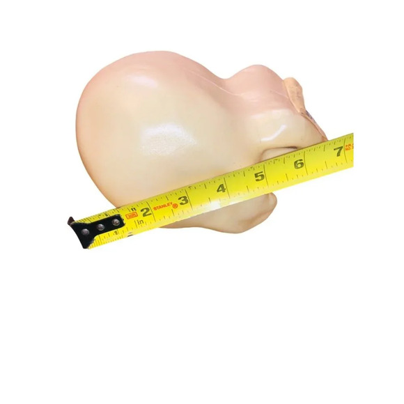 Plastic Skull Halloween Prop With Black Eye Sockets Spooky Decor - Picture 5 of 5